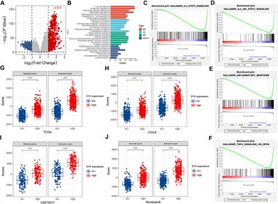 SYK Is Associated With Malignant Phenotype and Immune Checkpoints in Diffuse Glioma